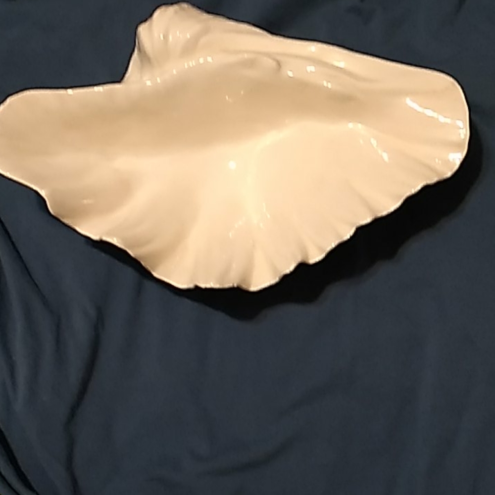 A PORCELIN CLAM
